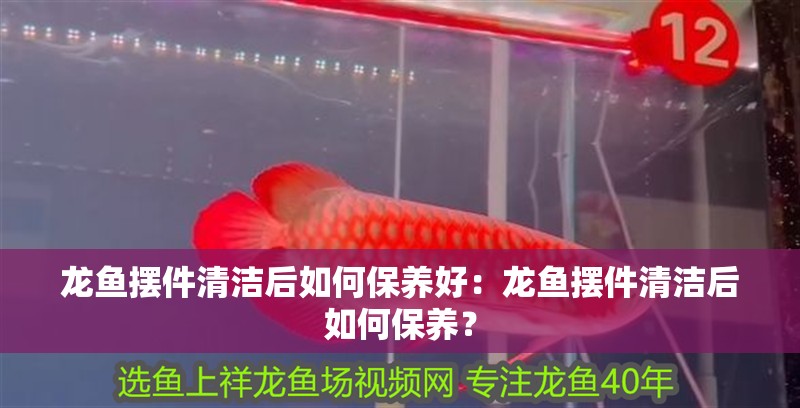 龍魚擺件清潔后如何保養好：龍魚擺件清潔后如何保養？