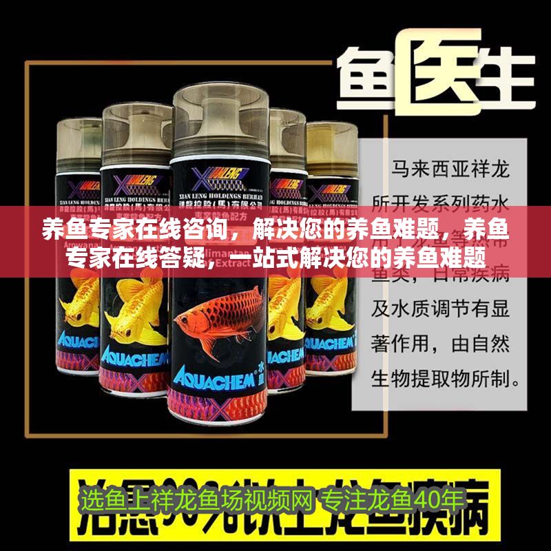 養(yǎng)魚專家在線咨詢，解決您的養(yǎng)魚難題，養(yǎng)魚專家在線答疑，一站式解決您的養(yǎng)魚難題