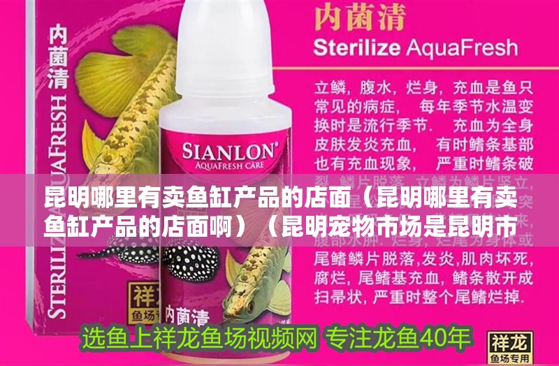 昆明哪里有賣魚缸產(chǎn)品的店面（昆明哪里有賣魚缸產(chǎn)品的店面?。ɡッ鲗櫸锸袌?chǎng)是昆明市最大的水族市場(chǎng)之一）