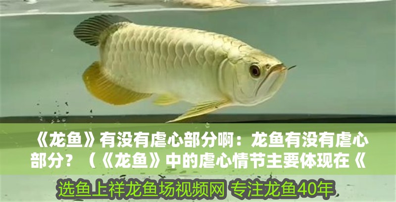 《龍魚》有沒有虐心部分?。糊堲~有沒有虐心部分？（《龍魚》中的虐心情節主要體現在《龍魚》中的虐心情節）