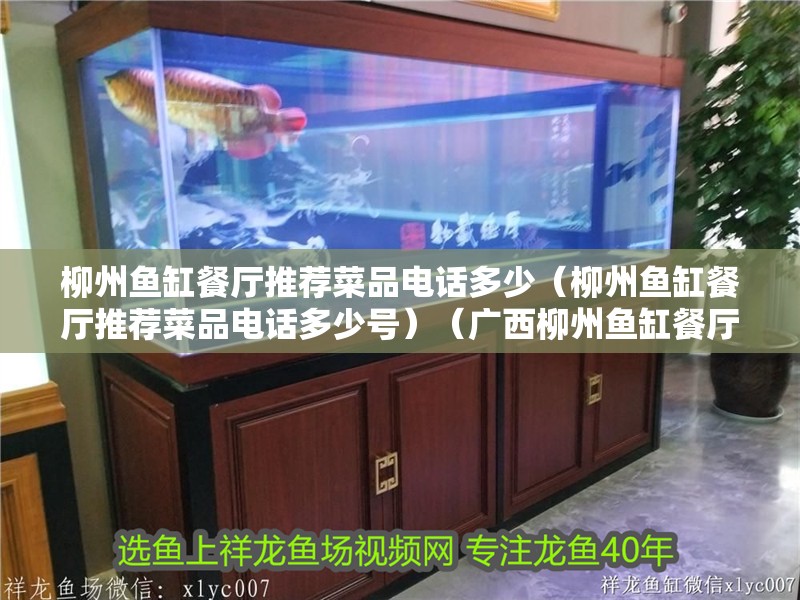 柳州魚缸餐廳推薦菜品電話多少（柳州魚缸餐廳推薦菜品電話多少號）（廣西柳州魚缸餐廳推薦菜品電話多少柳州魚缸餐廳推薦）