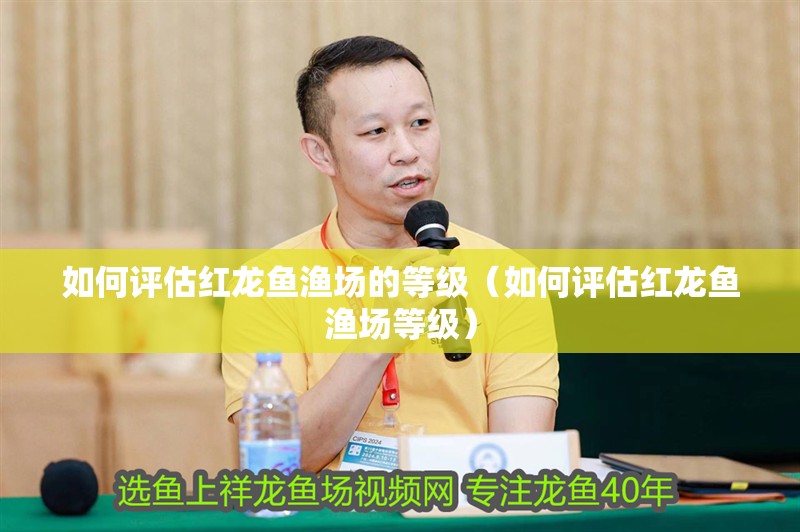 如何評估紅龍魚漁場的等級（如何評估紅龍魚漁場等級）