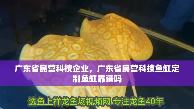 廣東省民營科技企業，廣東省民營科技魚缸定制魚缸靠譜嗎