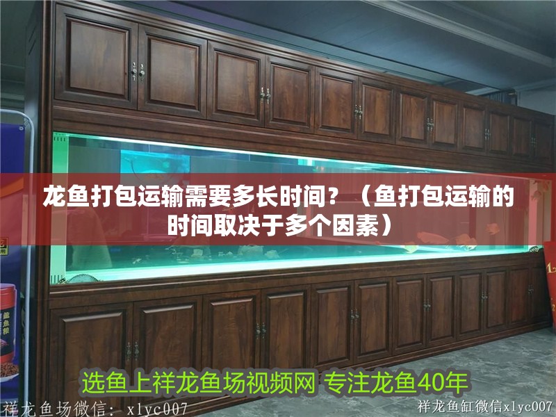 龍魚打包運輸需要多長時間？（魚打包運輸的時間取決于多個因素）