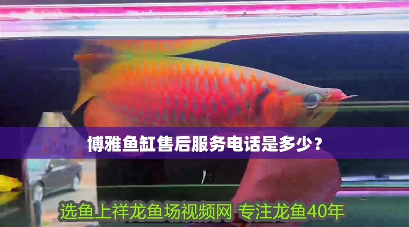 博雅魚缸售后服務電話是多少？