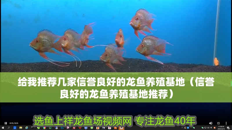 給我推薦幾家信譽良好的龍魚養殖基地（信譽良好的龍魚養殖基地推薦） 給我推薦幾家信譽良好的龍魚養殖基地（信譽良好的龍魚養殖基地推薦） 龍魚百科