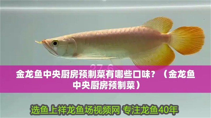 金龍魚中央廚房預制菜有哪些口味？（金龍魚中央廚房預制菜）