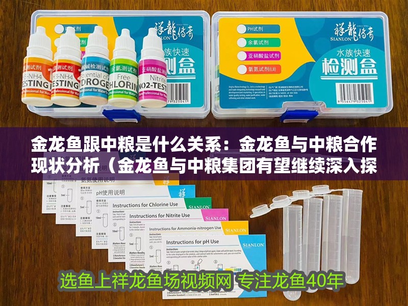 金龍魚跟中糧是什么關系：金龍魚與中糧合作現狀分析（金龍魚與中糧集團有望繼續深入探討金龍魚與中糧集團合作）