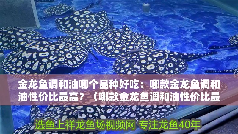 金龍魚調(diào)和油哪個(gè)品種好吃：哪款金龍魚調(diào)和油性價(jià)比最高？（哪款金龍魚調(diào)和油性價(jià)比最高）