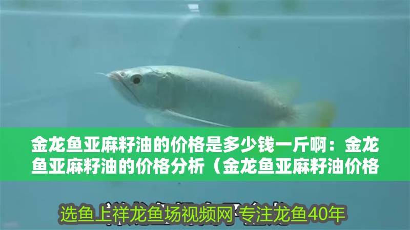 金龍魚亞麻籽油的價格是多少錢一斤啊：金龍魚亞麻籽油的價格分析（金龍魚亞麻籽油價格波動影響金龍魚亞麻籽油價格波動）