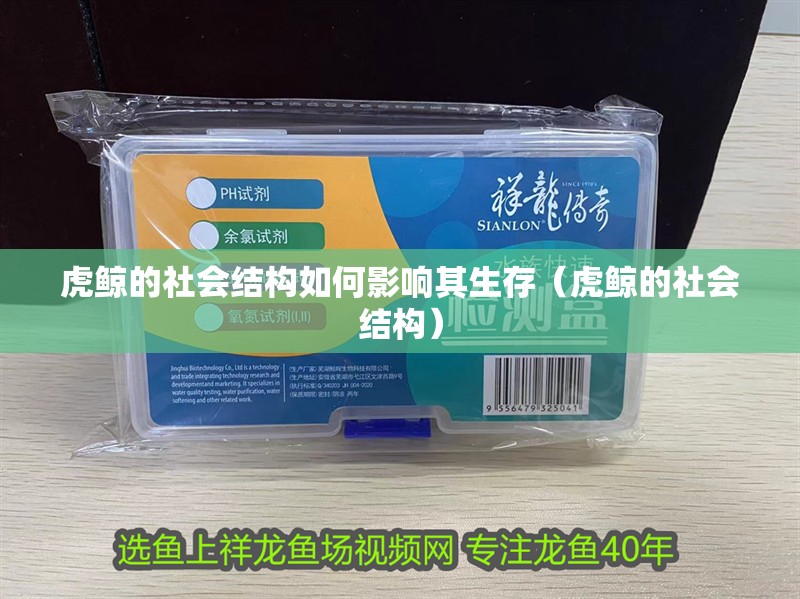 虎鯨的社會結構如何影響其生存（虎鯨的社會結構）
