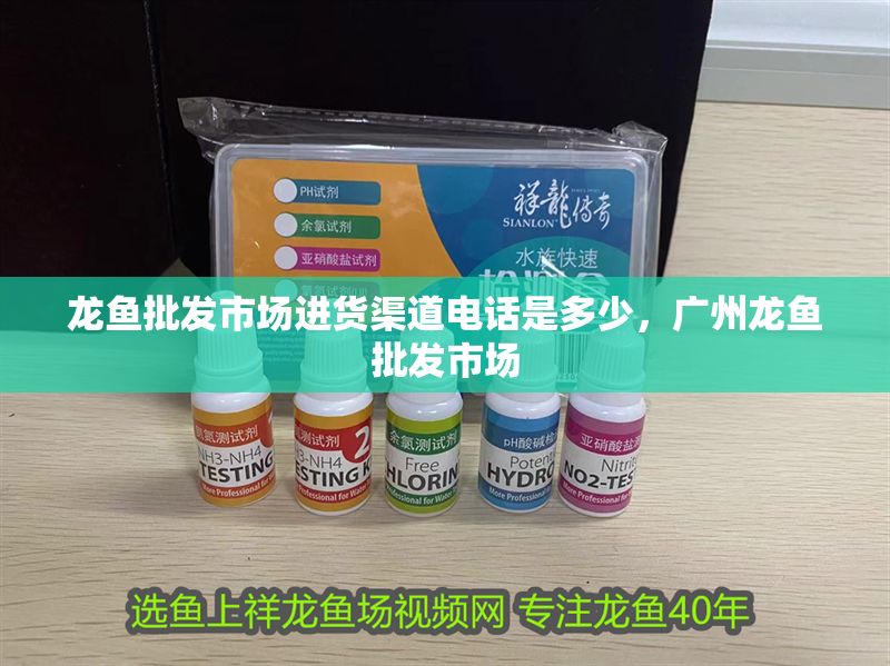 龍魚批發市場進貨渠道電話是多少，廣州龍魚批發市場