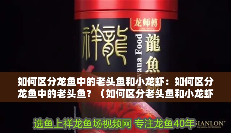 如何區(qū)分龍魚中的老頭魚和小龍蝦：如何區(qū)分龍魚中的老頭魚？（如何區(qū)分老頭魚和小龍蝦）