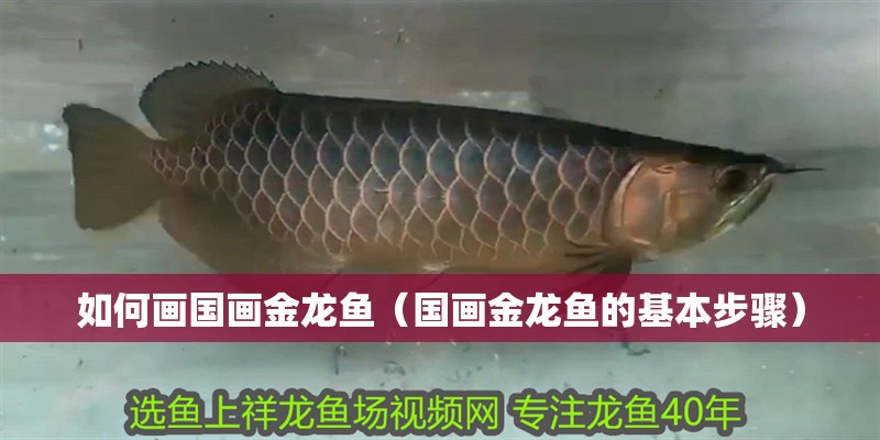 如何畫國畫金龍魚（國畫金龍魚的基本步驟）