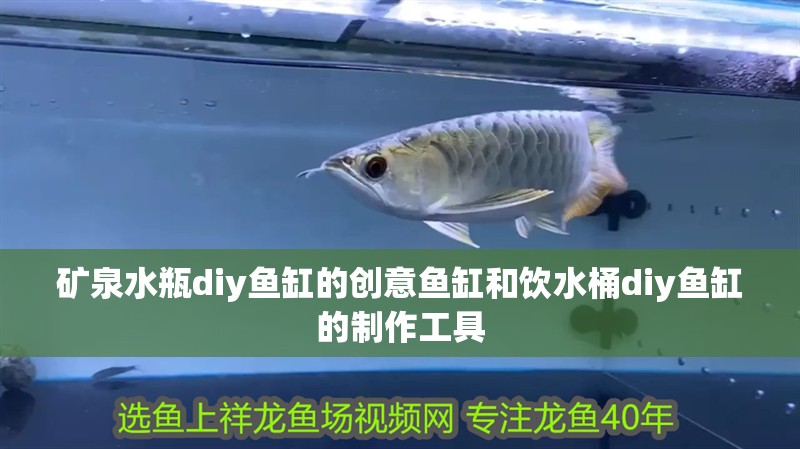 礦泉水瓶diy魚缸的創意魚缸和飲水桶diy魚缸的制作工具 礦泉水瓶diy魚缸的創意魚缸和飲水桶diy魚缸的制作工具 觀賞魚百科