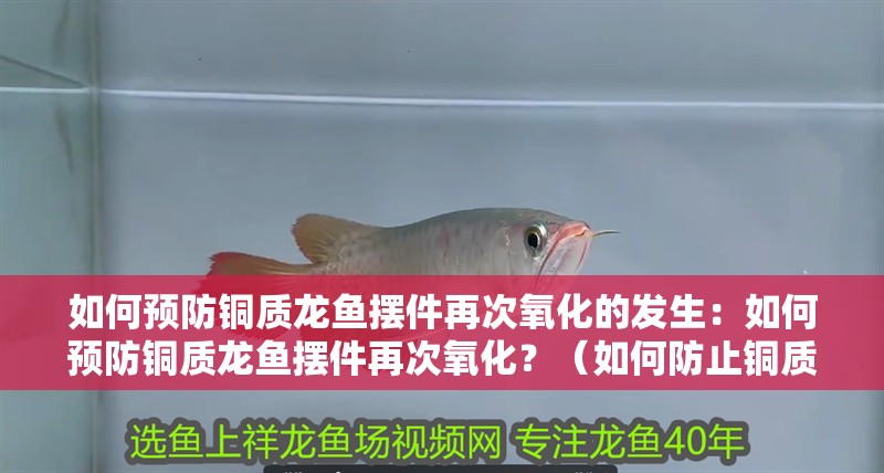 如何預防銅質龍魚擺件再次氧化的發生：如何預防銅質龍魚擺件再次氧化？（如何防止銅質龍魚擺件再次氧化）