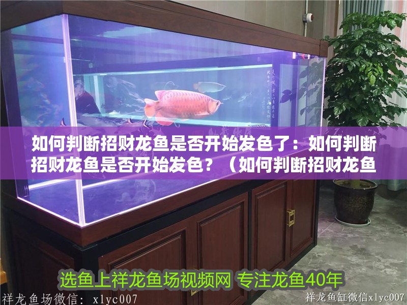 如何判斷招財龍魚是否開始發色了：如何判斷招財龍魚是否開始發色？（如何判斷招財龍魚開始發色）