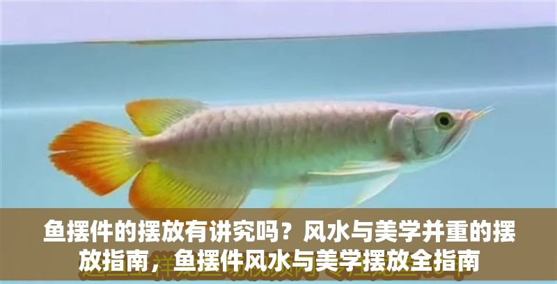 魚擺件的擺放有講究嗎？風水與美學并重的擺放指南，魚擺件風水與美學擺放全指南