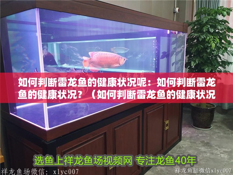 如何判斷雷龍魚的健康狀況呢：如何判斷雷龍魚的健康狀況？（如何判斷雷龍魚的健康狀況）