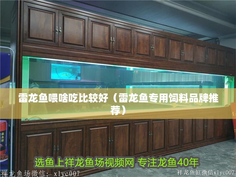 雷龍魚喂啥吃比較好（雷龍魚專用飼料品牌推薦）