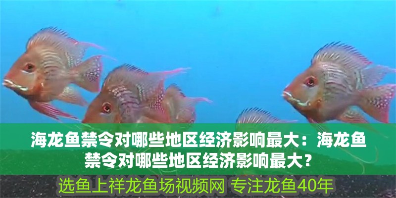 海龍魚禁令對哪些地區經濟影響最大：海龍魚禁令對哪些地區經濟影響最大？
