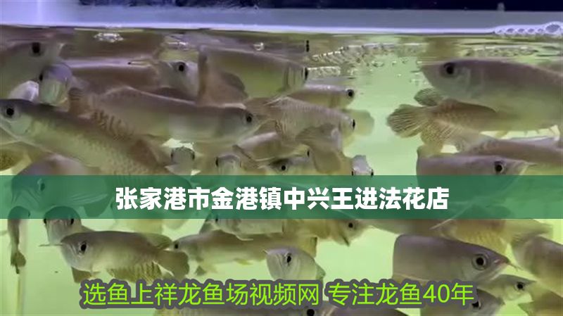 張家港市金港鎮中興王進法花店