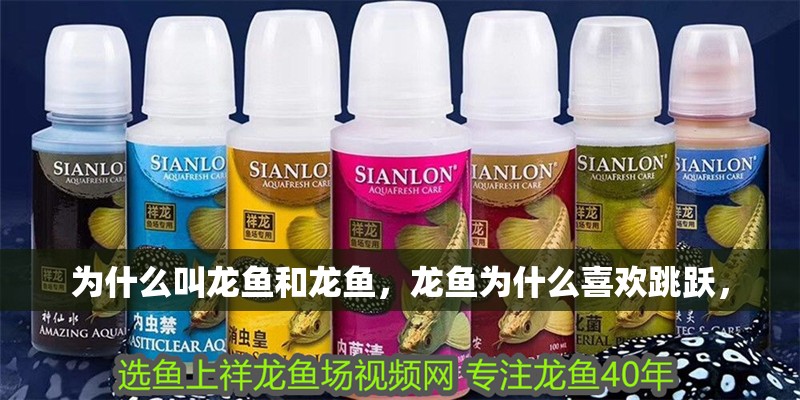 為什么叫龍魚和龍魚，龍魚為什么喜歡跳躍，