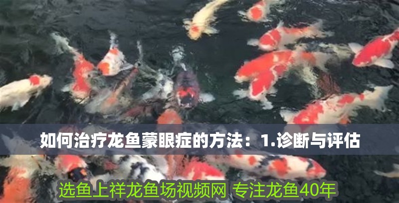 如何治療龍魚蒙眼癥的方法：1.診斷與評估