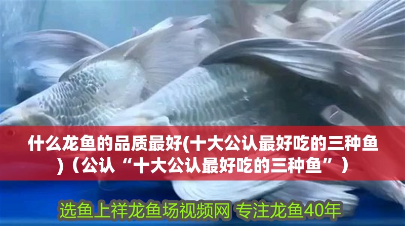 什么龍魚的品質最好(十大公認最好吃的三種魚)（公認“十大公認最好吃的三種魚”）