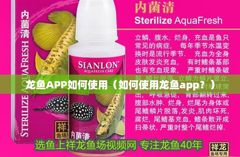 龍魚APP如何使用（如何使用龍魚app？）