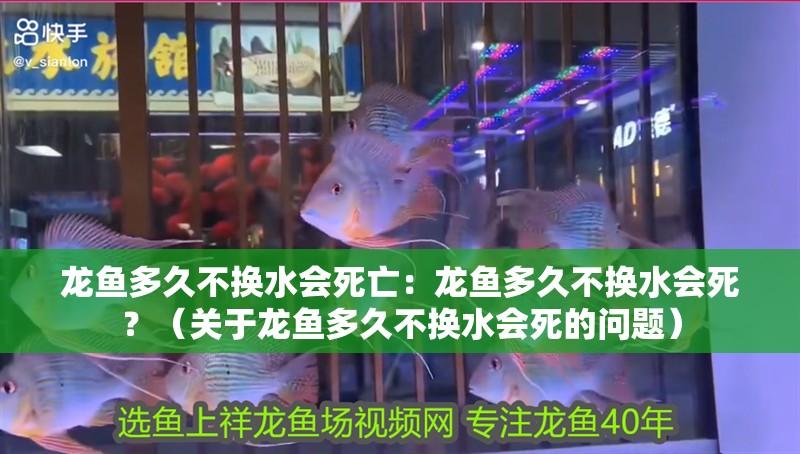 龍魚多久不換水會死亡：龍魚多久不換水會死？（關于龍魚多久不換水會死的問題）