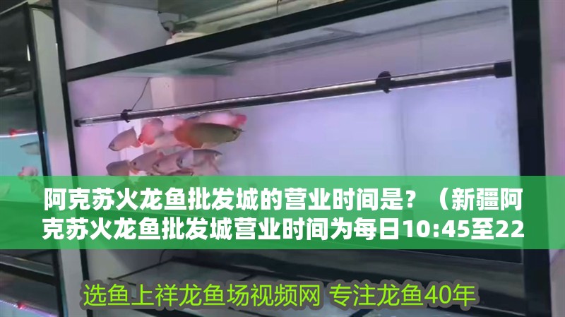 阿克蘇火龍魚(yú)批發(fā)城的營(yíng)業(yè)時(shí)間是？（<strong><mark>新疆</mark></strong>阿克蘇火龍魚(yú)批發(fā)城營(yíng)業(yè)時(shí)間為每日10:45至22:001）