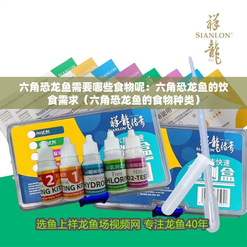 六角恐龍魚需要哪些食物呢：六角恐龍魚的飲食需求（六角恐龍魚的食物種類）