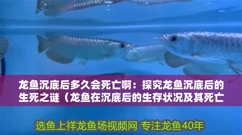 龍魚沉底后多久會死亡啊：探究龍魚沉底后的生死之謎（龍魚在沉底后的生存狀況及其死亡時間）