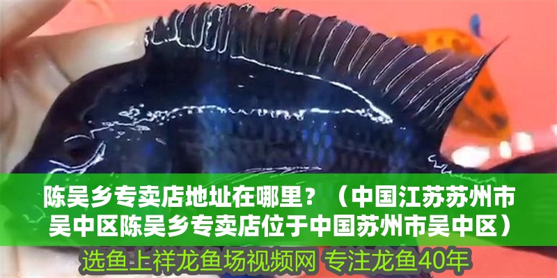 陳吳鄉專賣店地址在哪里？（中國江蘇蘇州市吳中區陳吳鄉專賣店位于中國蘇州市吳中區）