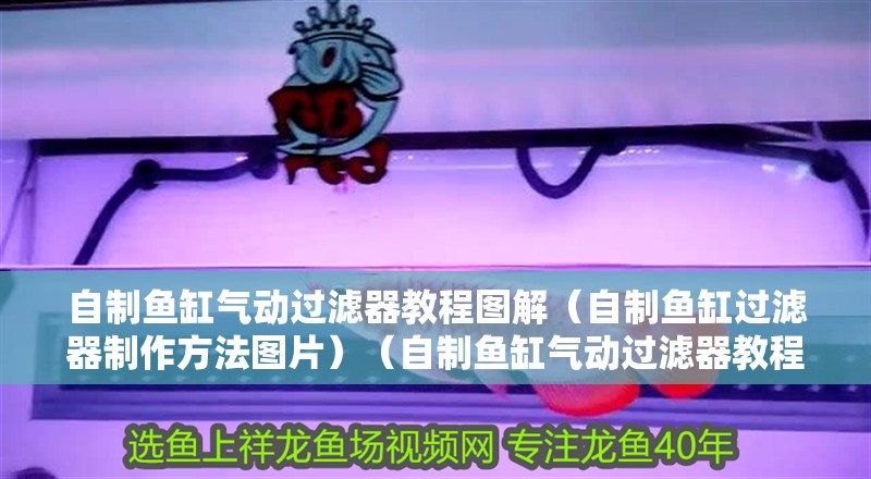 自制魚缸氣動過濾器教程圖解（自制魚缸過濾器制作方法圖片）（自制魚缸氣動過濾器教程） 自制魚缸氣動過濾器教程圖解（自制魚缸過濾器制作方法圖片）（自制魚缸氣動過濾器教程） 觀賞魚百科