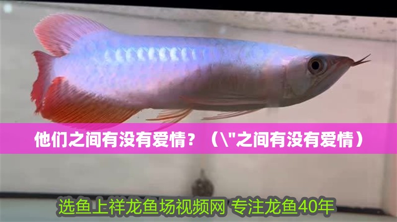 他們之間有沒有愛情？（\
