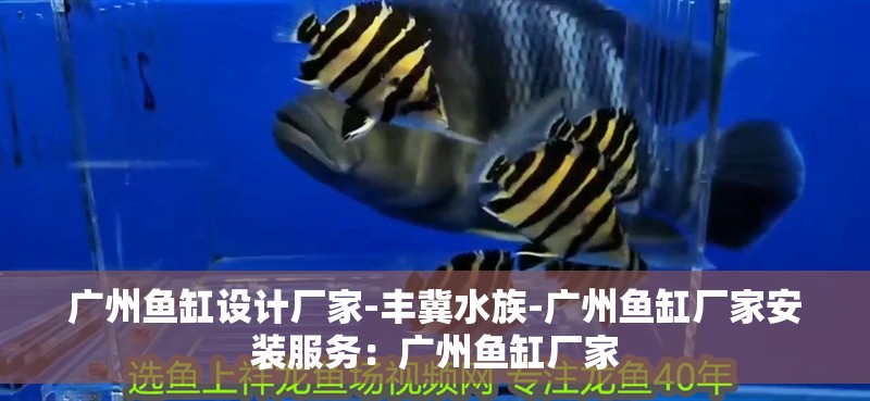 廣州魚缸設計廠家-豐冀水族-廣州魚缸廠家安裝服務：廣州魚缸廠家 廣州魚缸設計廠家-豐冀水族-廣州魚缸廠家安裝服務：廣州魚缸廠家 魚缸百科