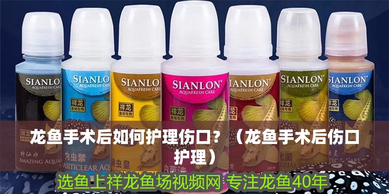 龍魚手術后如何護理傷口？（龍魚手術后傷口護理）