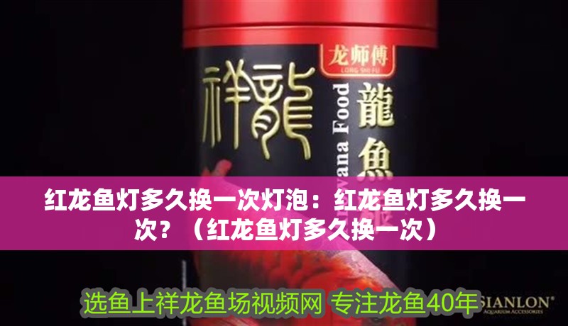 紅龍魚燈多久換一次燈泡：紅龍魚燈多久換一次？（紅龍魚燈多久換一次）