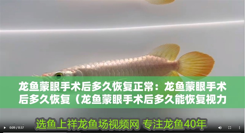 龍魚蒙眼手術后多久恢復正常：龍魚蒙眼手術后多久恢復（龍魚蒙眼手術后多久能恢復視力）