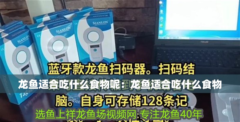 龍魚適合吃什么食物呢：龍魚適合吃什么食物