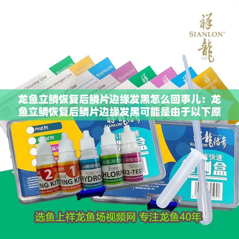 龍魚立鱗恢復(fù)后鱗片邊緣發(fā)黑怎么回事兒：龍魚立鱗恢復(fù)后鱗片邊緣發(fā)黑可能是由于以下原因之一
