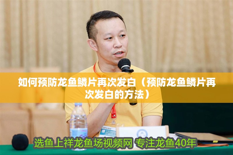 如何預(yù)防龍魚鱗片再次發(fā)白（預(yù)防龍魚鱗片再次發(fā)白的方法）