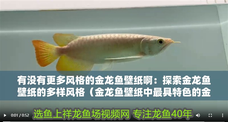 有沒有更多風(fēng)格的金龍魚壁紙啊：探索金龍魚壁紙的多樣風(fēng)格（金龍魚壁紙中最具特色的金龍魚壁紙，適合家居環(huán)境選擇）