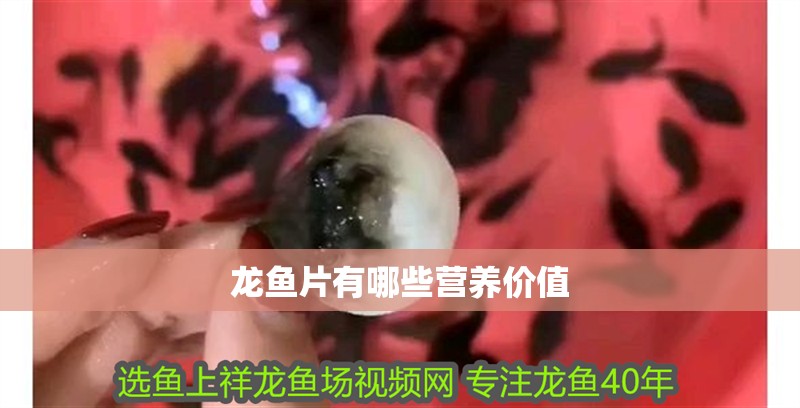 龍魚片有哪些營養價值