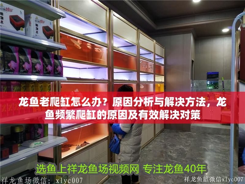 龍魚(yú)老爬缸怎么辦？原因分析與解決方法，龍魚(yú)頻繁爬缸的原因及有效解決對(duì)策
