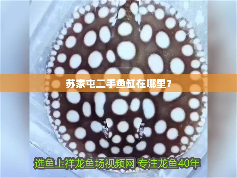 蘇家屯二手魚缸在哪里？