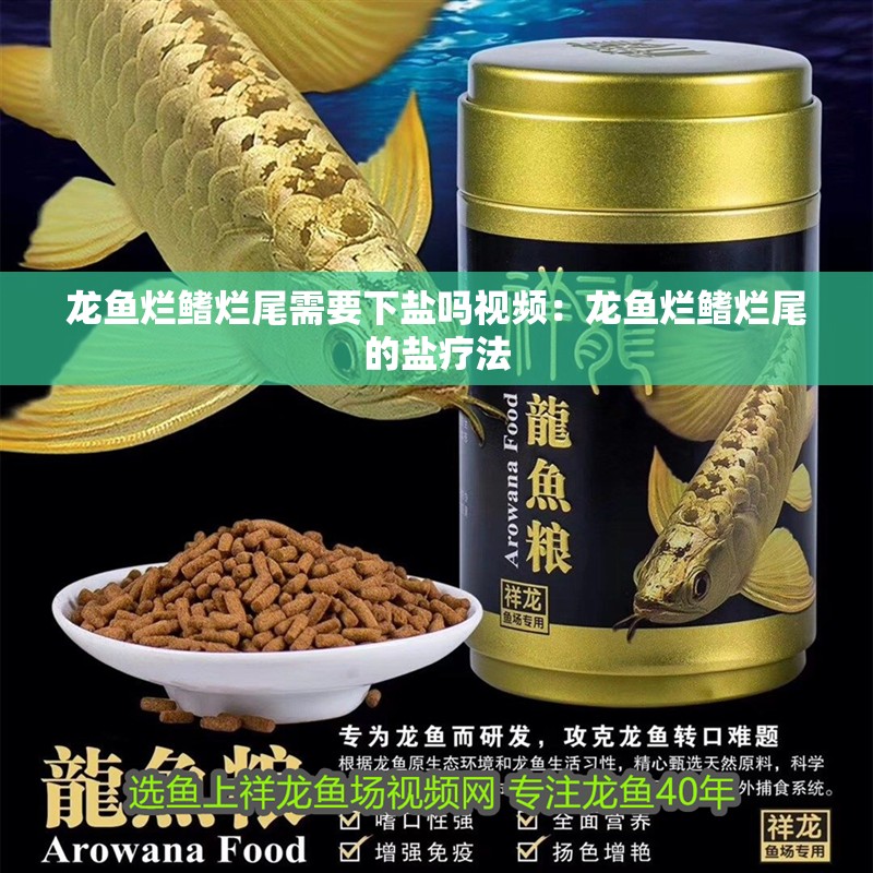 龍魚爛鰭爛尾需要下鹽嗎視頻：龍魚爛鰭爛尾的鹽療法