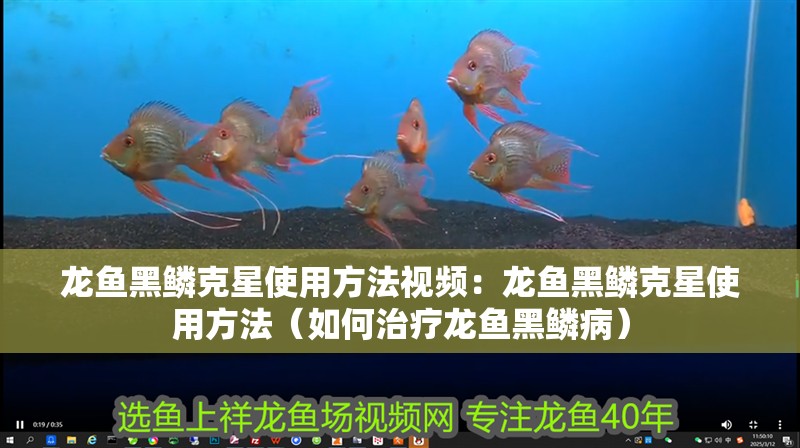 龍魚黑鱗克星使用方法視頻：龍魚黑鱗克星使用方法（如何治療龍魚黑鱗病）